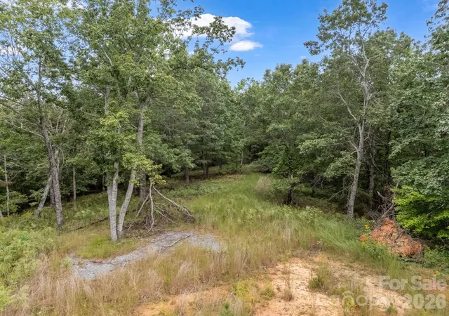 5th image of Tbd N Highland Farms Rd #6, Mill Spring, NC 28756 | MLS# 4310959