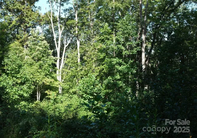 Photo 1 of Land for sale at Lot: 12 Caperton Point Rd #12, Swannanoa, NC 28778 | MLS# 4310970 | Listing updated on 2026-09-12