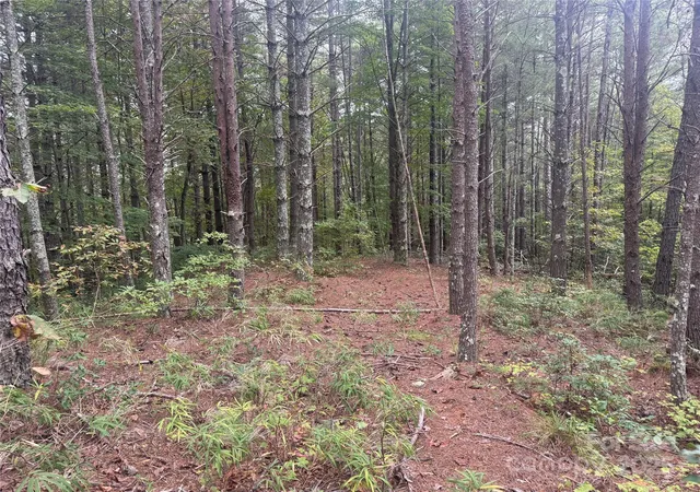 Land for sale at 9587 Shortoff View Ter #57, Nebo, NC 28761 | MLS# 4311218