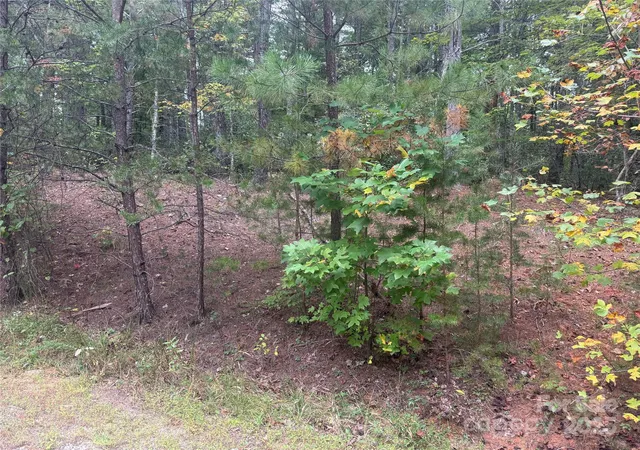 Photo 1 of Land for sale at 9587 Shortoff View Ter #57, Nebo, NC 28761 | MLS# 4311218 | Listing updated on 2026-10-02