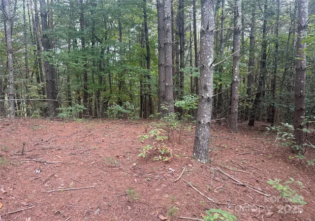 Photo 2 of Land for sale at 9587 Shortoff View Ter #57, Nebo, NC 28761 | MLS# 4311218 | Listing updated on 2026-10-02