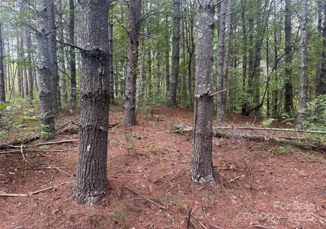 Photo 3 of Land for sale at 9587 Shortoff View Ter #57, Nebo, NC 28761 | MLS# 4311218 | Listing updated on 2026-10-02