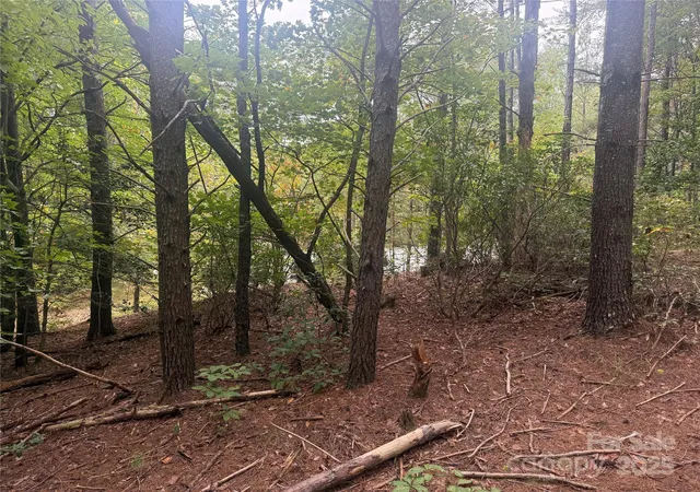 Photo 4 of Land for sale at 9587 Shortoff View Ter #57, Nebo, NC 28761 | MLS# 4311218 | Listing updated on 2026-10-02