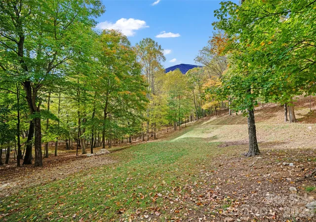 Photo 3 of Land for sale at 42 Hickory Springs Rd #42, Burnsville, NC 28714 | MLS# 4311676 | Listing updated on 2026-09-16