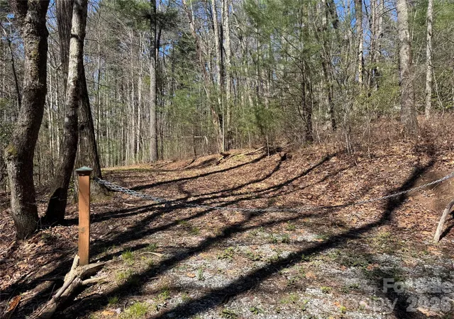 Homes for sale in Cashiers, NC | 1 Bear Log Rd, Cashiers, NC 28717 | MLS# 4311792