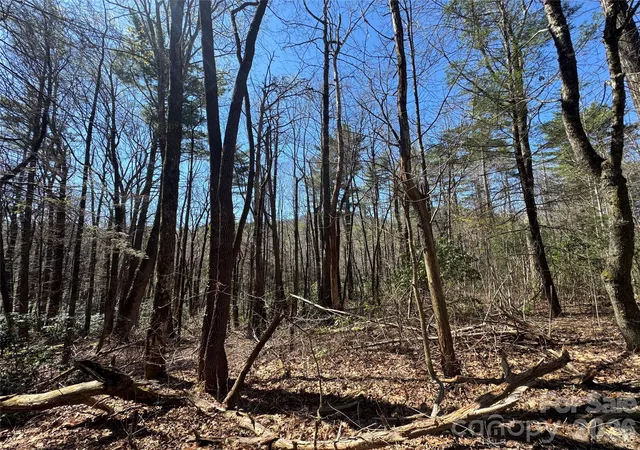 Homes for sale in Cashiers, NC | 1 Bear Log Rd, Cashiers, NC 28717 | MLS# 4311792