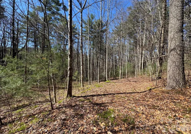 Homes for sale in Cashiers, NC | 1 Bear Log Rd, Cashiers, NC 28717 | MLS# 4311792