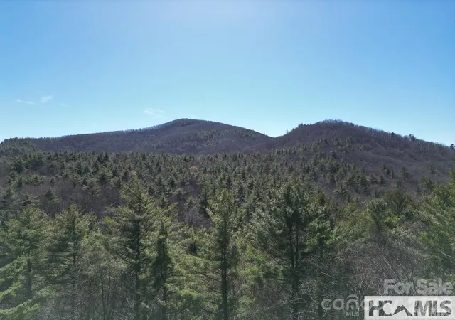 Homes for sale in Cashiers, NC | 1 Bear Log Rd, Cashiers, NC 28717 | MLS# 4311792