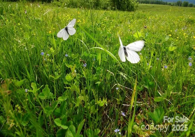 Photo 4 of Land for sale at 634 Patterson Farm Rd, Mooresville, NC 28115 | MLS# 4311911 | Listing updated on 2026-05-26