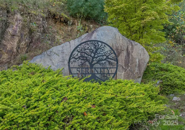 2nd image of 273 Serenity Ridge Trl #36, Asheville, NC 28804 | MLS# 4312323
