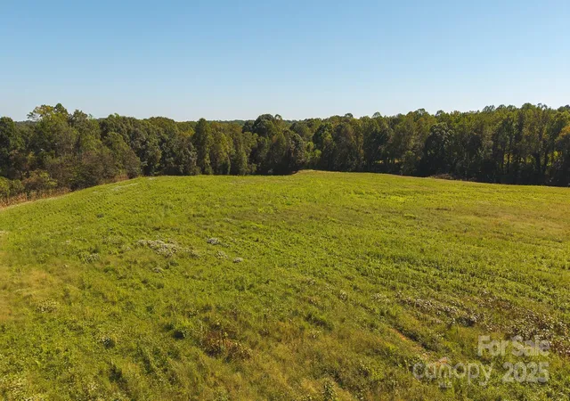 Photo 2 of Land for sale at Tbd Us Hwy 21, Hamptonville, NC 27020 | MLS# 4313310 | Listing updated on 2026-07-02