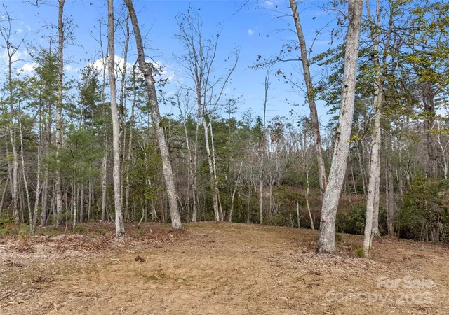 Photo 4 of Land for sale at 423 Moraine Ct #626, Asheville, NC 28803 | MLS# 4313470 | Listing updated on 2025-12-29