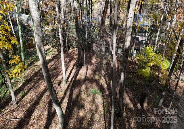 Photo 3 of Land for sale at Lot C31 Shady Ln, Maggie Valley, NC 28751 | MLS# 4313527 | Listing updated on 2026-10-09