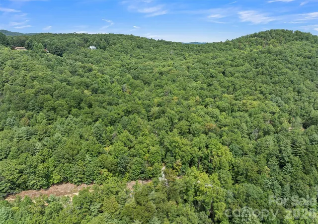 Photo 3 of Single family home for sale at 812 Crab Creek Rd, Hendersonville, NC 28739 | MLS# 4313649 | Listing updated on 2026-10-29