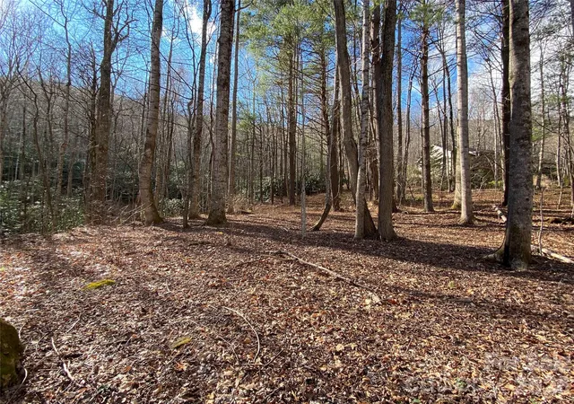 Photo 1 of Land for sale at 12 Laurel Branch Dr, Black Mountain, NC 28711 | MLS# 4313798 | Listing updated on 2026-10-10