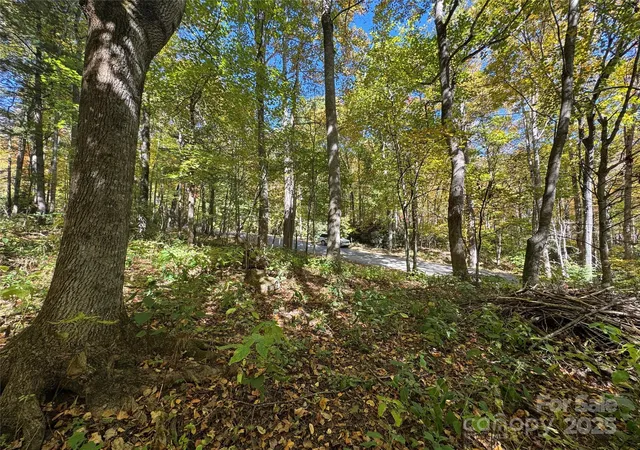 Photo 4 of Land for sale at 12 Laurel Branch Dr, Black Mountain, NC 28711 | MLS# 4313798 | Listing updated on 2026-05-06