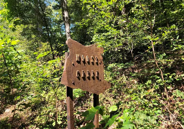 5th image of Lots 1-8 Erwin Ln, Waynesville, NC 28785 | MLS# 4313961