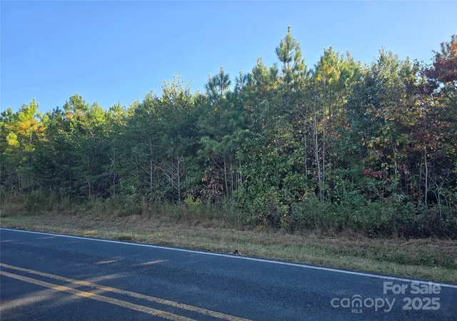 3rd image of 0 Moss Ln, New London, NC 28127 | MLS# 4314439