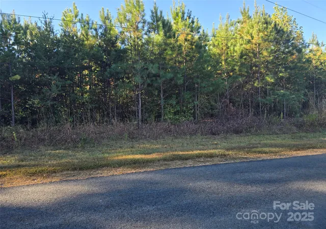 4th image of 0 Moss Ln, New London, NC 28127 | MLS# 4314439