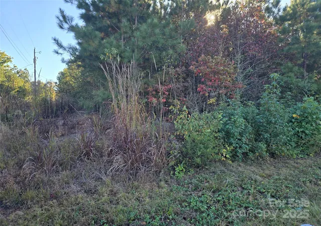 5th image of 0 Moss Ln, New London, NC 28127 | MLS# 4314439