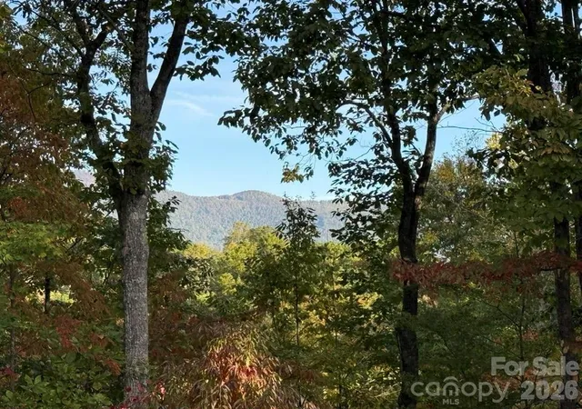 Photo 2 of Single family home for sale at 160 Caledonia Rd, Landrum, SC 29356 | MLS# 4314636 | Listing updated on 2026-08-03