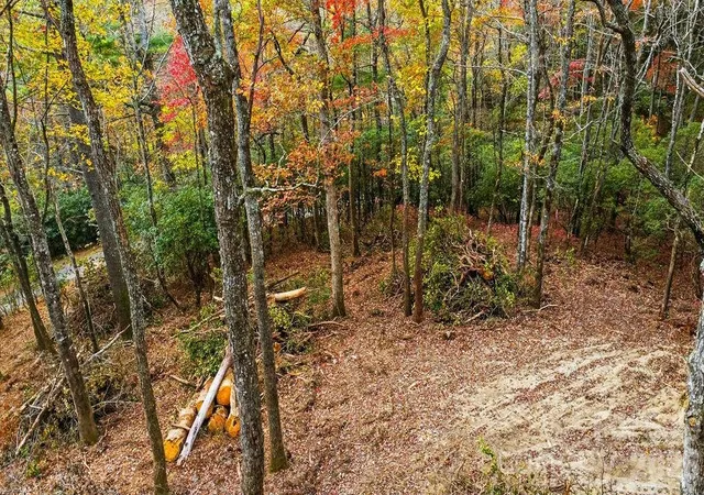 Homes for sale in Lake Toxaway, NC | 000 Indian Lake Rd #21, Lake Toxaway, NC 28747 | MLS# 4314798