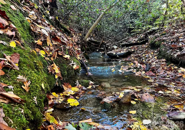 Photo 4 of Land for sale at Tbd Old Toxaway Rd, Brevard, NC 28712 | MLS# 4314877 | Listing updated on 2026-10-12