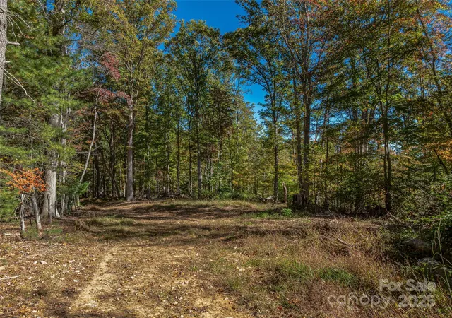 Photo 3 of Land for sale at 99999 Meadows Town Rd, Marshall, NC 28753 | MLS# 4314966 | Listing updated on 2025-10-28