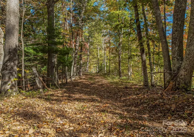 Photo 4 of Land for sale at 99999 Meadows Town Rd, Marshall, NC 28753 | MLS# 4314966 | Listing updated on 2025-10-28