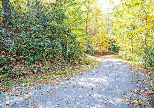 Photo 2 of Land for sale at Tbd Reserve Rd #9A, Brevard, NC 28712 | MLS# 4315247 | Listing updated on 2026-08-21