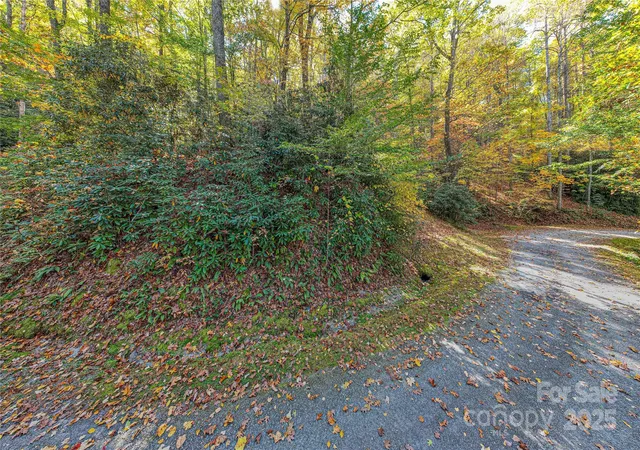 Photo 3 of Land for sale at Tbd Reserve Rd #9A, Brevard, NC 28712 | MLS# 4315247 | Listing updated on 2026-08-21