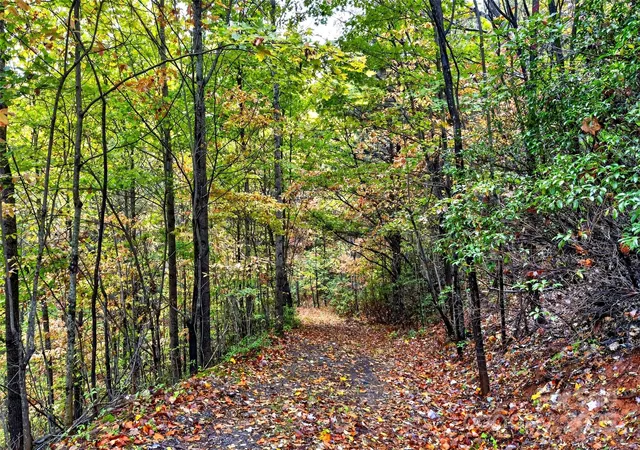 Photo 3 of Land for sale at 9999 Sassafras Dr #726, Old Fort, NC 28762 | MLS# 4315303 | Listing updated on 2026-10-10
