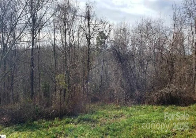 Photo 3 of Land for sale at 00 Lockhart Cir, Landrum, SC 29356 | MLS# 4315701 | Listing updated on 2026-04-28