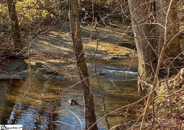 Photo 4 of Land for sale at 00 Lockhart Cir, Landrum, SC 29356 | MLS# 4315701 | Listing updated on 2026-04-28