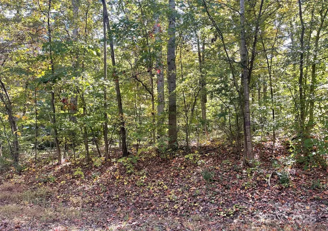 Photo 2 of Land for sale at 00 Heather Ln, Mount Holly, NC 28120 | MLS# 4315722 | Listing updated on 2026-05-29