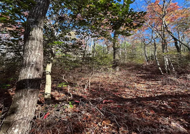 Photo 2 of Land for sale at Lot 3 And 4 Oriole Rd, Brevard, NC 28712 | MLS# 4315901 | Listing updated on 2025-11-03