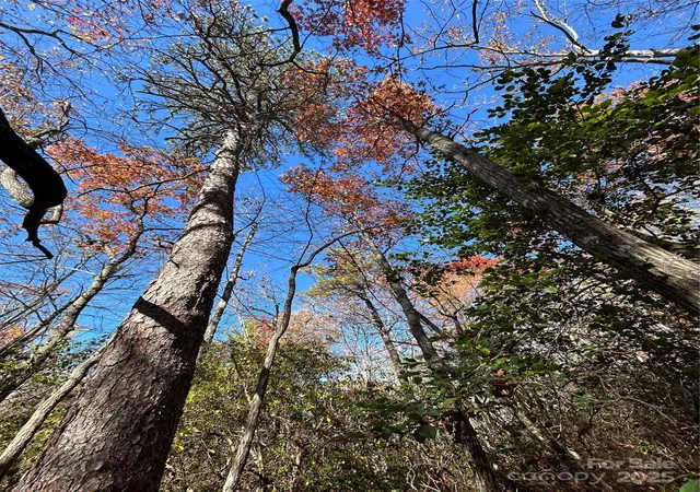 Photo 1 of Land for sale at Lot 3 And 4 Oriole Rd, Brevard, NC 28712 | MLS# 4315901 | Listing updated on 2025-11-03