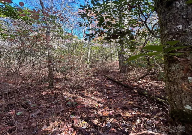 Photo 3 of Land for sale at Lot 3 And 4 Oriole Rd, Brevard, NC 28712 | MLS# 4315901 | Listing updated on 2025-11-03
