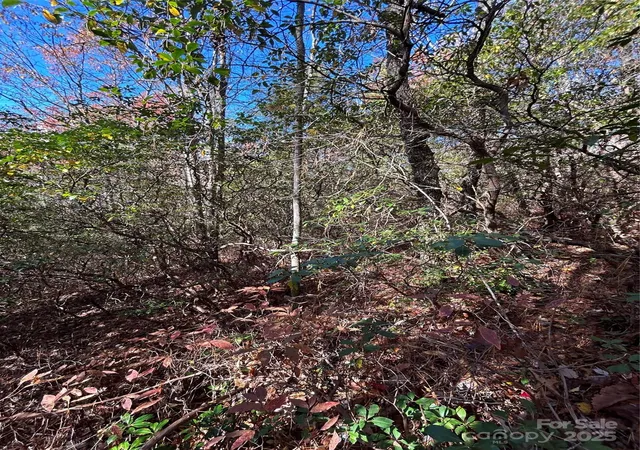 Photo 4 of Land for sale at Lot 3 And 4 Oriole Rd, Brevard, NC 28712 | MLS# 4315901 | Listing updated on 2025-11-03