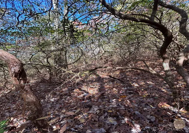 Photo 5 of Land for sale at Lot 3 And 4 Oriole Rd, Brevard, NC 28712 | MLS# 4315901 | Listing updated on 2025-11-03