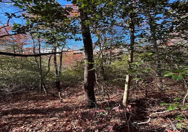 Photo 7 of Land for sale at Lot 3 And 4 Oriole Rd, Brevard, NC 28712 | MLS# 4315901 | Listing updated on 2025-11-03