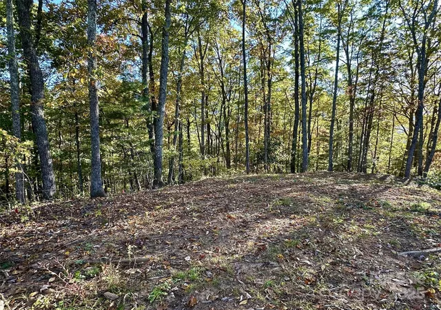 Photo 3 of Land for sale at 534 Cicada Dr, Maggie Valley, NC 28751 | MLS# 4316073 | Listing updated on 2026-06-17