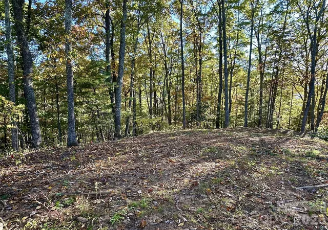 Photo 3 of Land for sale at 534 Cicada Dr, Maggie Valley, NC 28751 | MLS# 4316073 | Listing updated on 2026-10-12