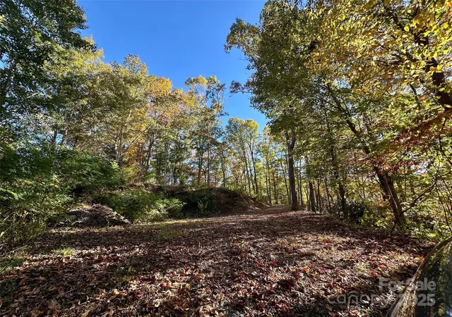 Photo 4 of Land for sale at 534 Cicada Dr, Maggie Valley, NC 28751 | MLS# 4316073 | Listing updated on 2026-06-17