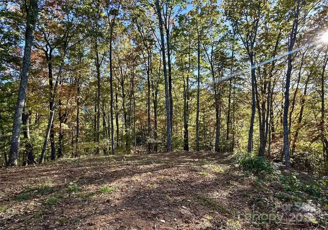Photo 5 of Land for sale at 534 Cicada Dr, Maggie Valley, NC 28751 | MLS# 4316073 | Listing updated on 2026-06-17