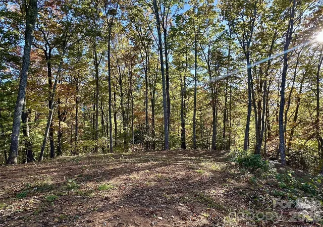 Photo 4 of Land for sale at 534 Cicada Dr, Maggie Valley, NC 28751 | MLS# 4316073 | Listing updated on 2026-10-12