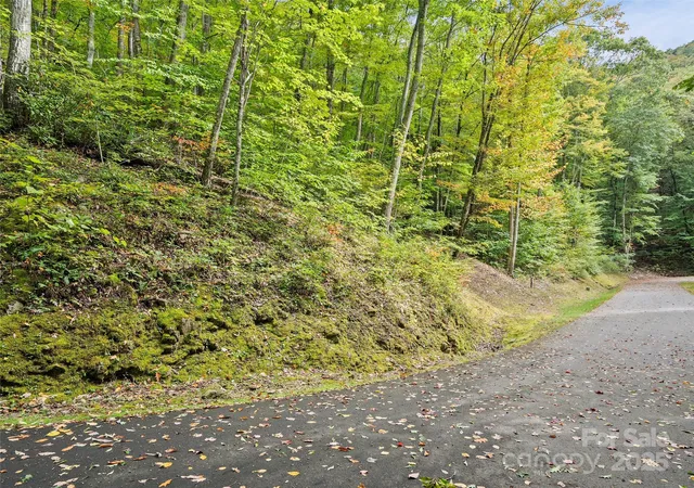 2nd image of Lot 23 Finlaystone Tr, Waynesville, NC 28786 | MLS# 4316498