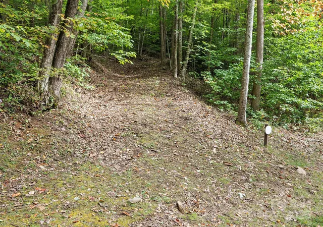 3rd image of Lot 23 Finlaystone Tr, Waynesville, NC 28786 | MLS# 4316498