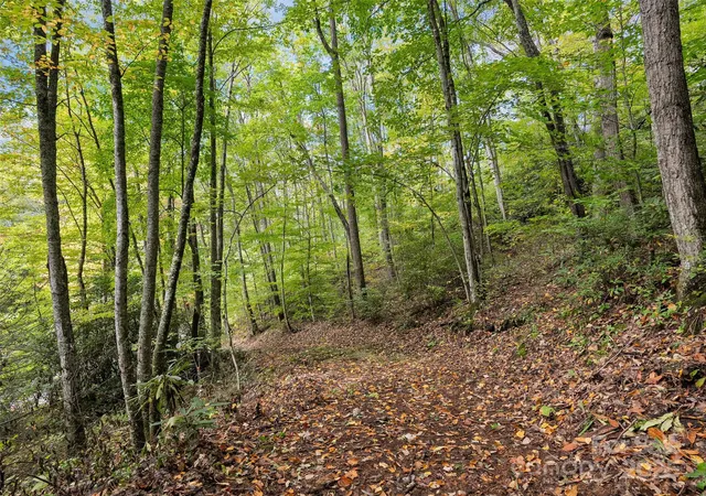 4th image of Lot 23 Finlaystone Tr, Waynesville, NC 28786 | MLS# 4316498