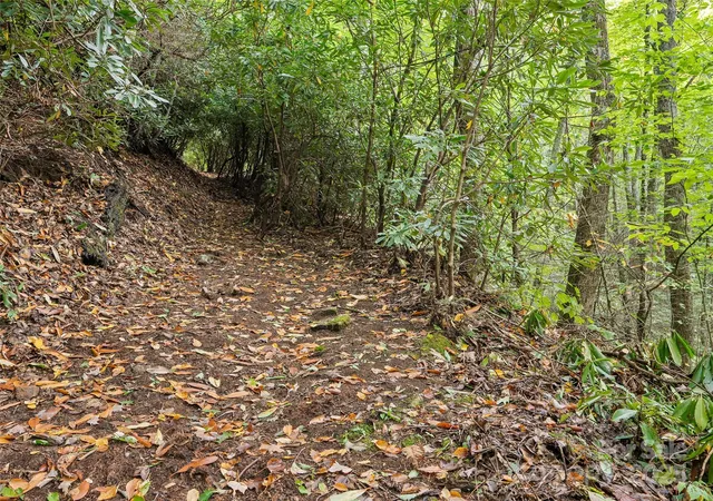 5th image of Lot 23 Finlaystone Tr, Waynesville, NC 28786 | MLS# 4316498